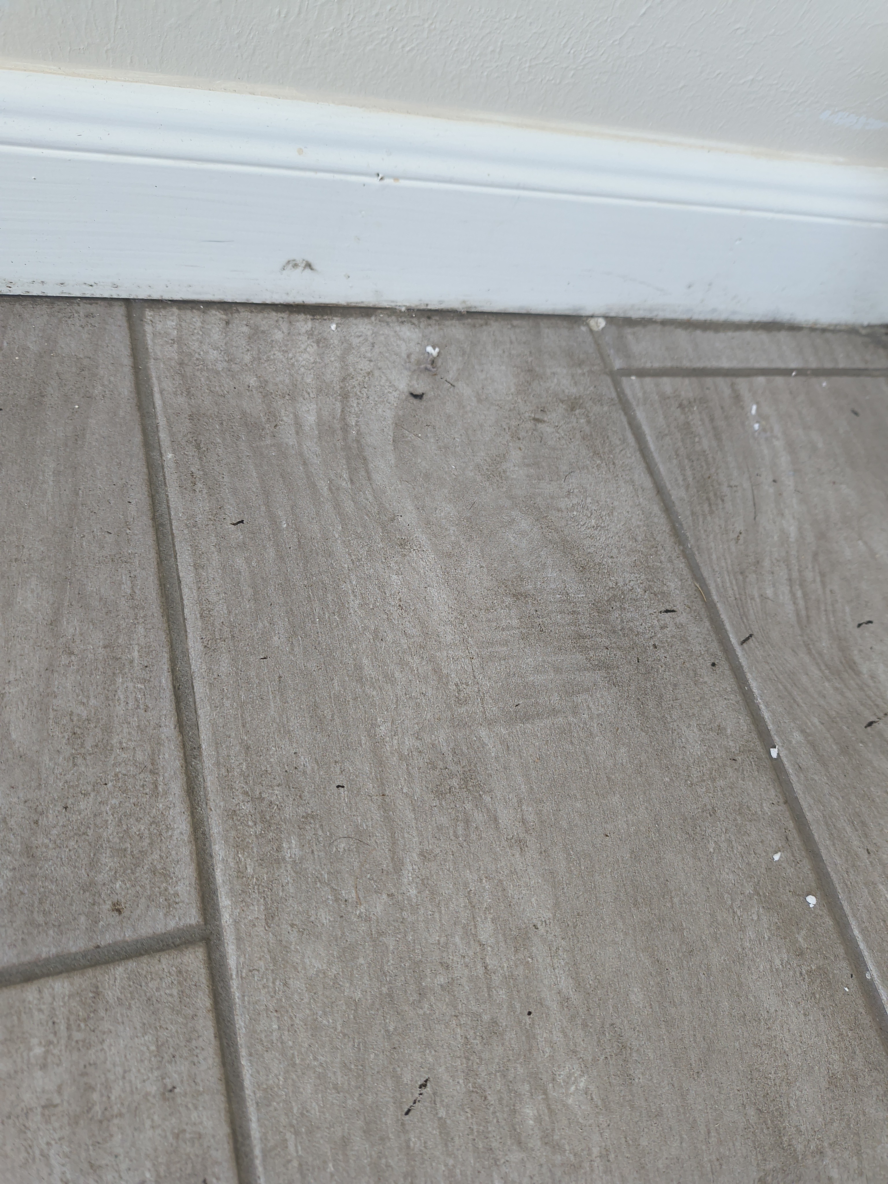 Lone Star Spotless cleaning result